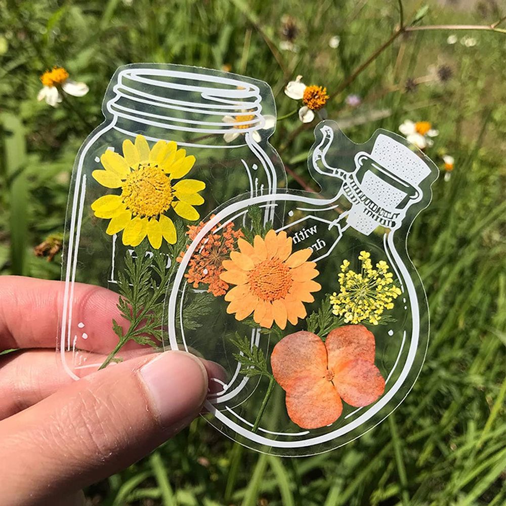 30Pcs DIY Transparent Dried Fl – Dried Flower Bookmark Bewertung und Preis