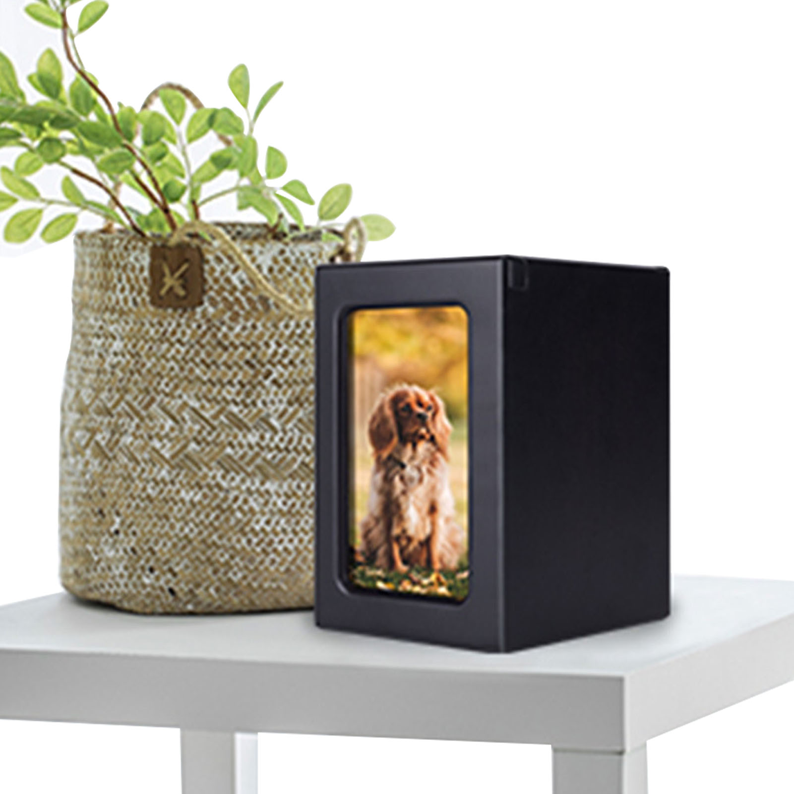 Wooden Pet Urns Wooden Cremati – Engraved Wood Frame Bewertung und Preis