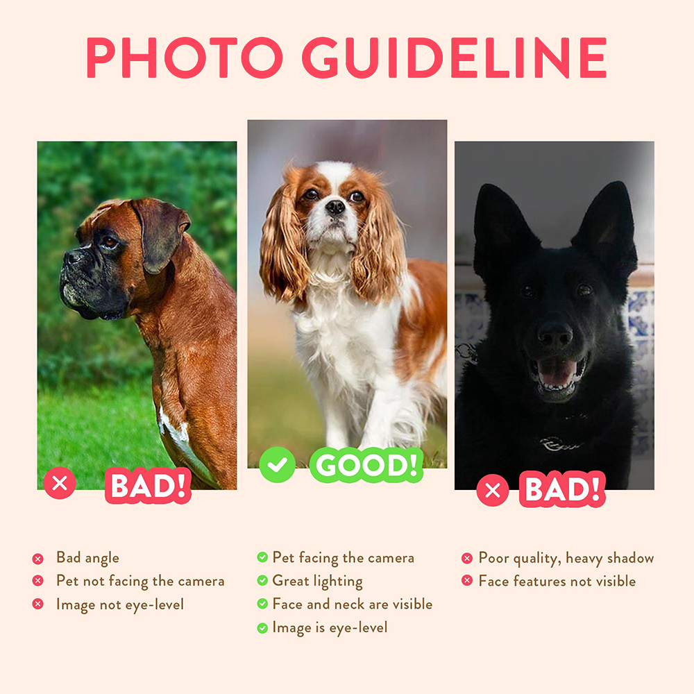 Personalized Pet Portraits Pho – Pet Portrait Custom Bewertung und Preis