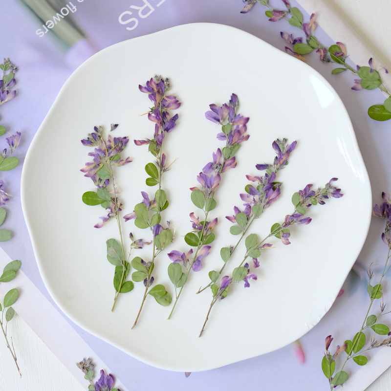 6pcs,nature Lespedeza Formosa  – Dried Flower Bookmark Bewertung und Preis