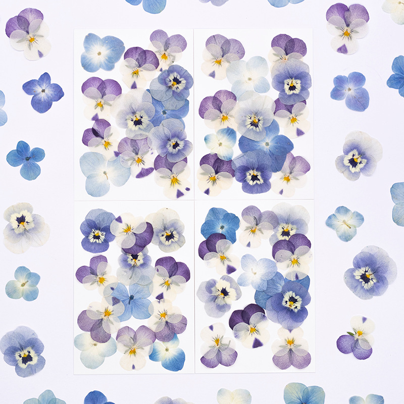12pcs,Real Viola Cornuta Press – Dried Flower Bookmark Bewertung und Preis