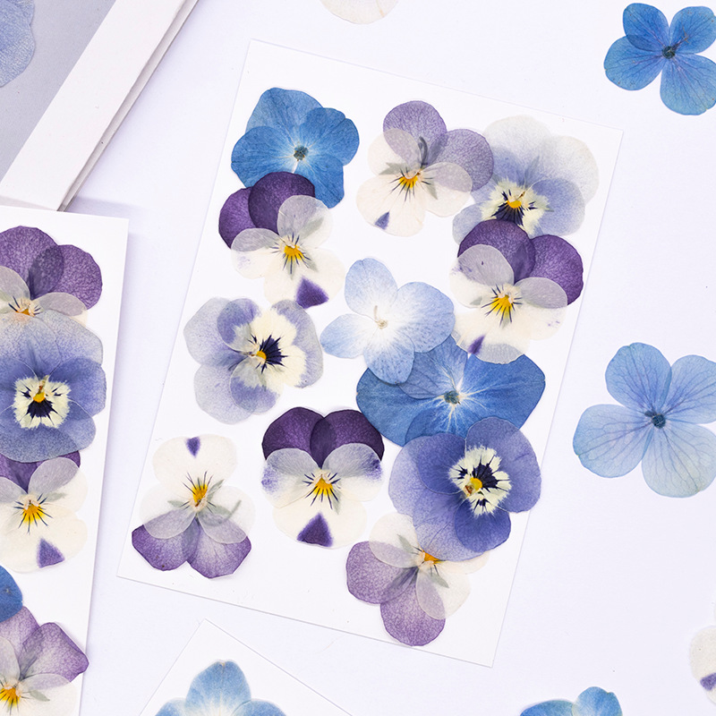 12pcs,Real Viola Cornuta Press – Dried Flower Bookmark Bewertung und Preis