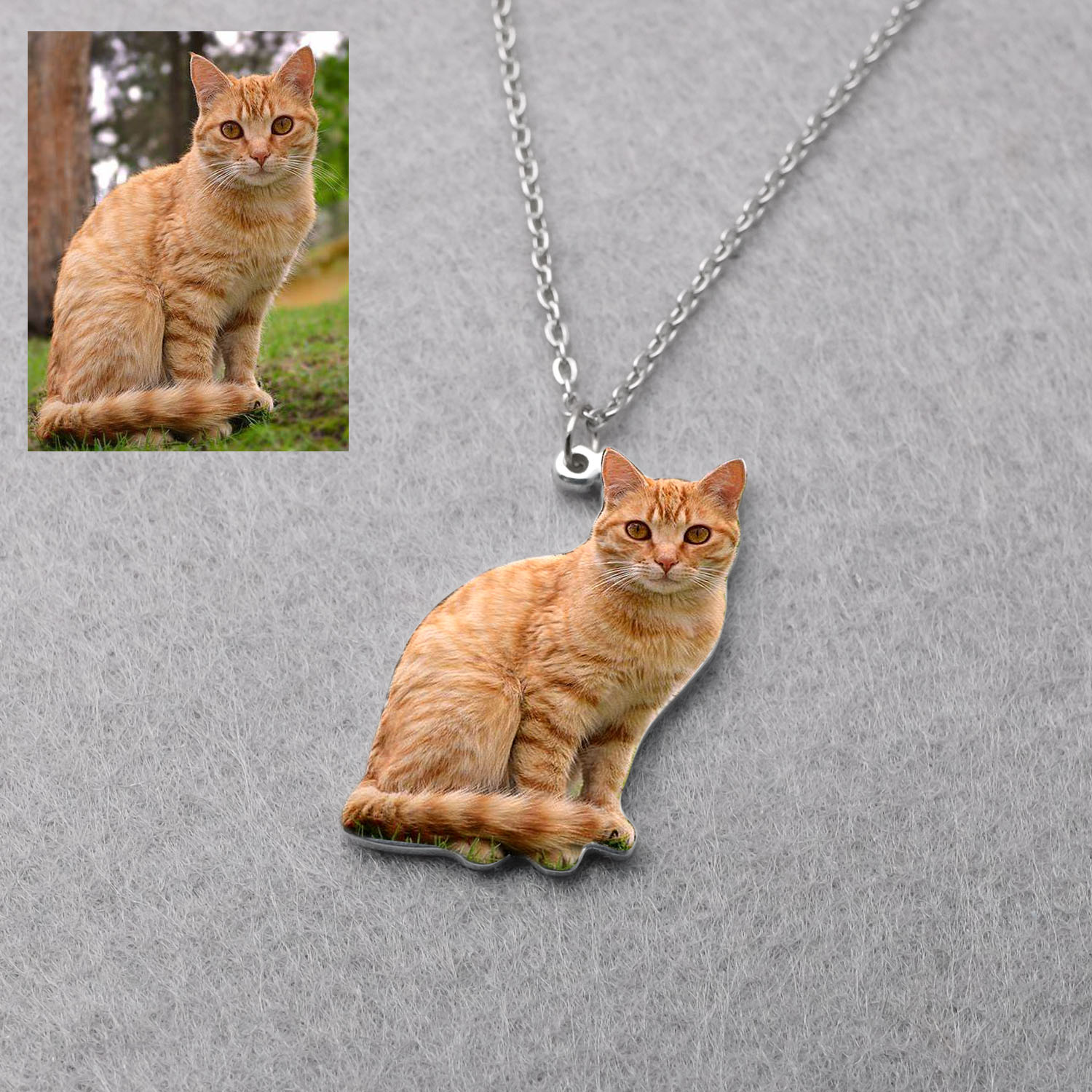 Personalized Pet Picture Neckl – Pet Portrait Custom Bewertung und Preis