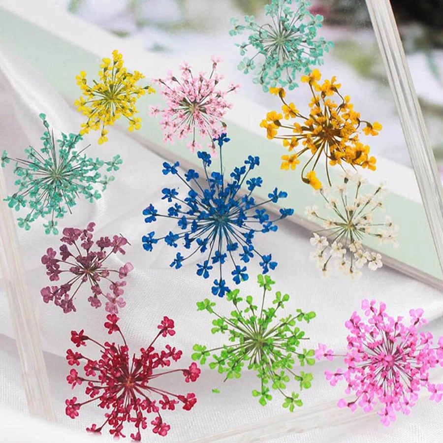 60pcs Pressed Dried 20-25mm Am – Dried Flower Bookmark Bewertung und Preis