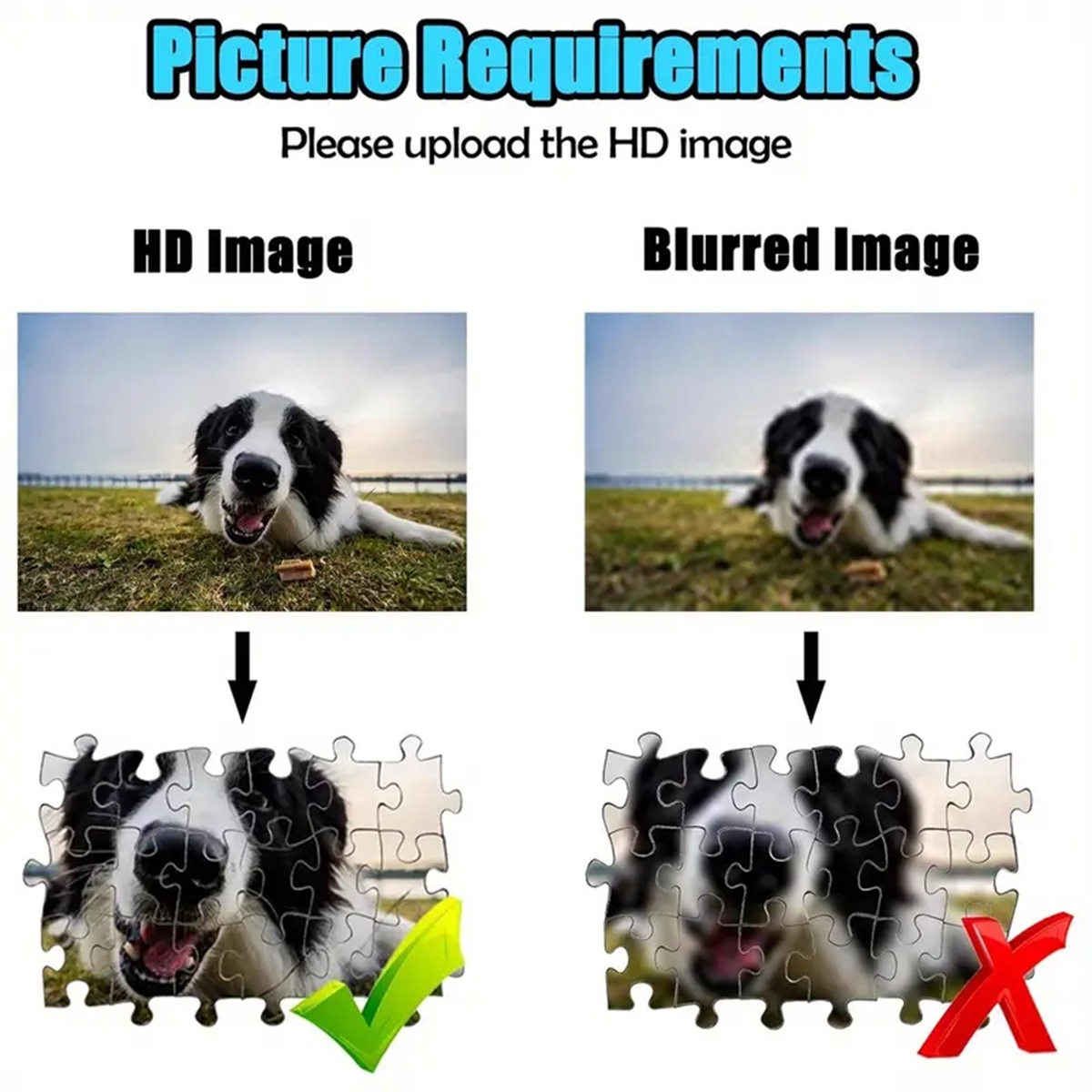 35/300/500/1000pcs Personalize – Pet Portrait Custom Bewertung und Preis