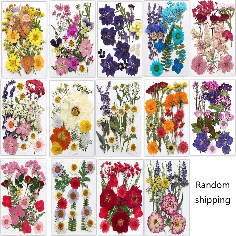 Handmade Pressed Dried Flowers – Dried Flower Bookmark Bewertung und Preis