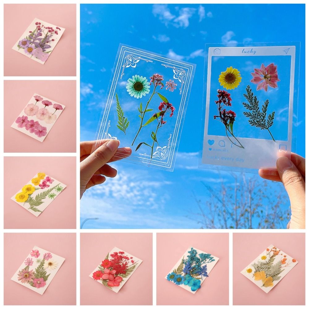 DIY Materials DIY Dried Flower – Dried Flower Bookmark Bewertung und Preis