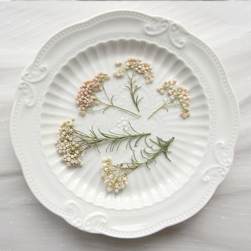 12pcs,Nature Millet flower bra – Dried Flower Bookmark Bewertung und Preis