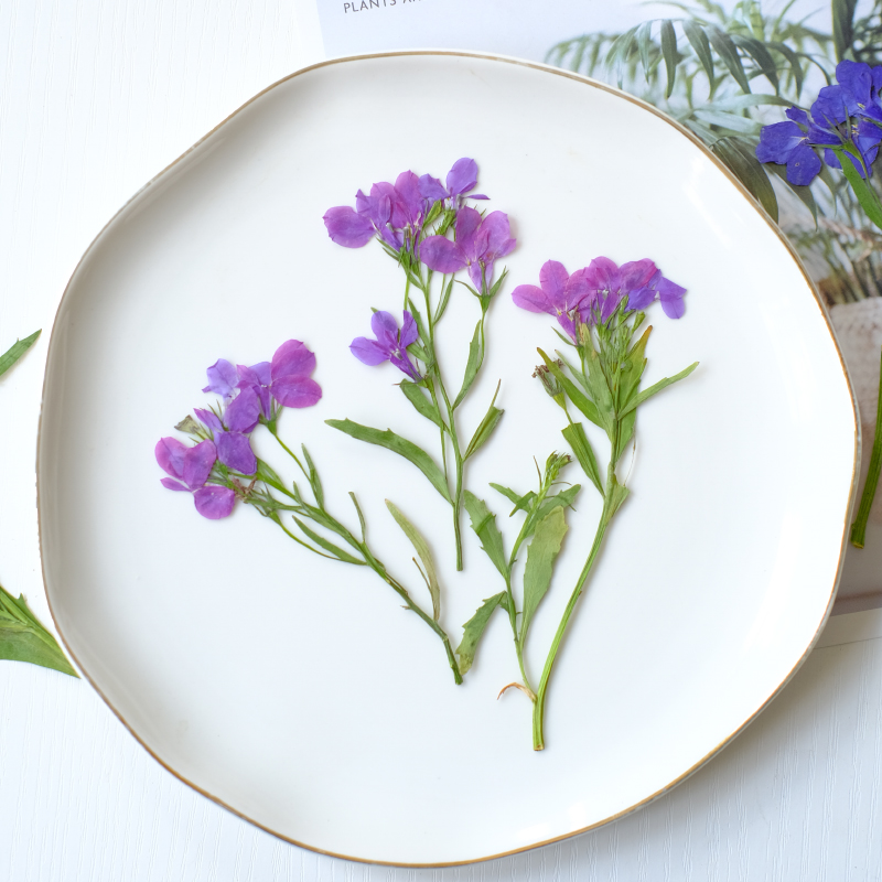 6pcs/8-13cm,nature Lobelia Eri – Dried Flower Bookmark Bewertung und Preis