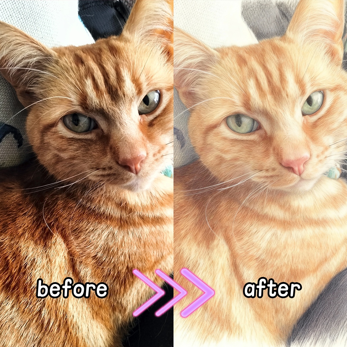 Personalized Custom Colored Pe – Pet Portrait Custom Bewertung und Preis