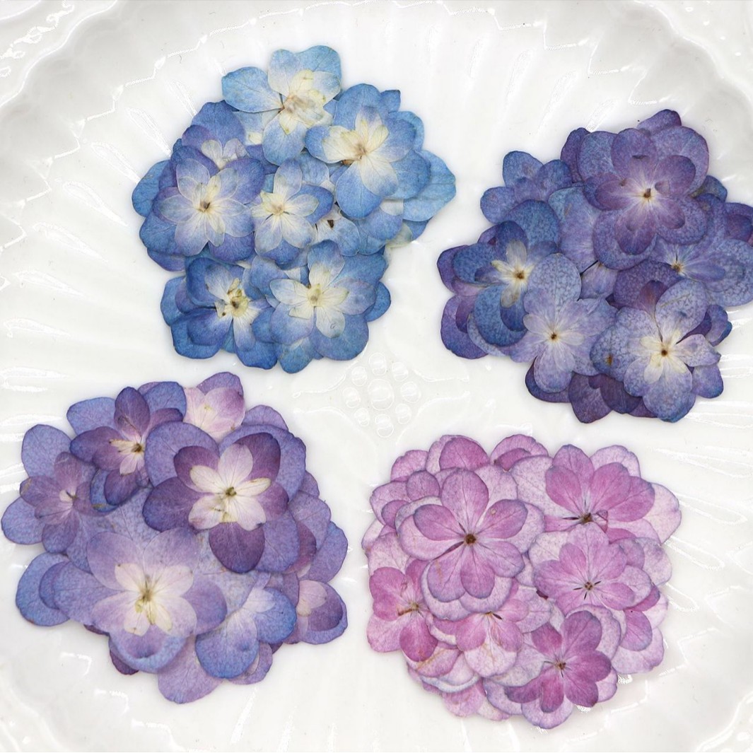 60Pcs Mini Double-Flowered Hyd – Dried Flower Bookmark Bewertung und Preis