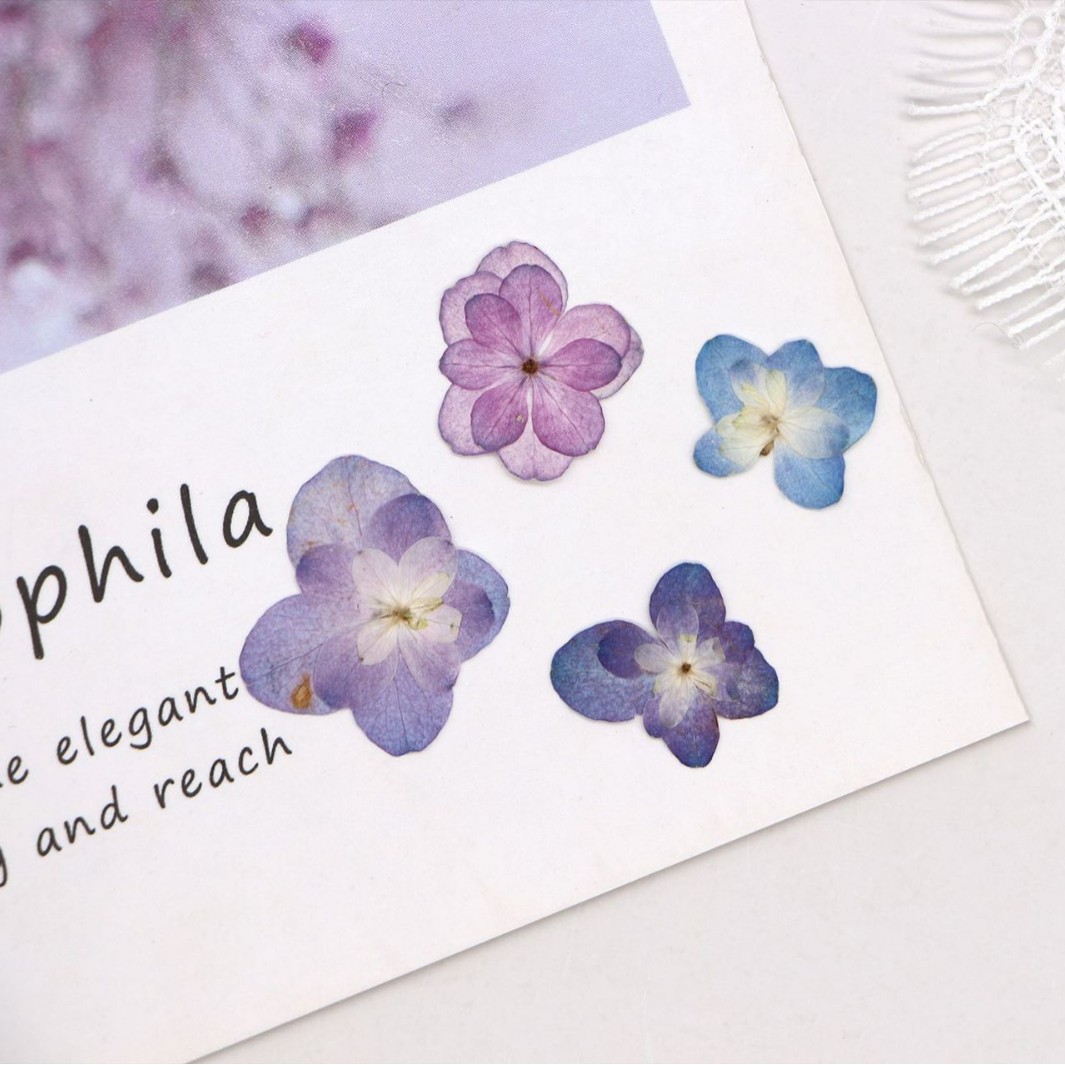 60Pcs Mini Double-Flowered Hyd – Dried Flower Bookmark Bewertung und Preis