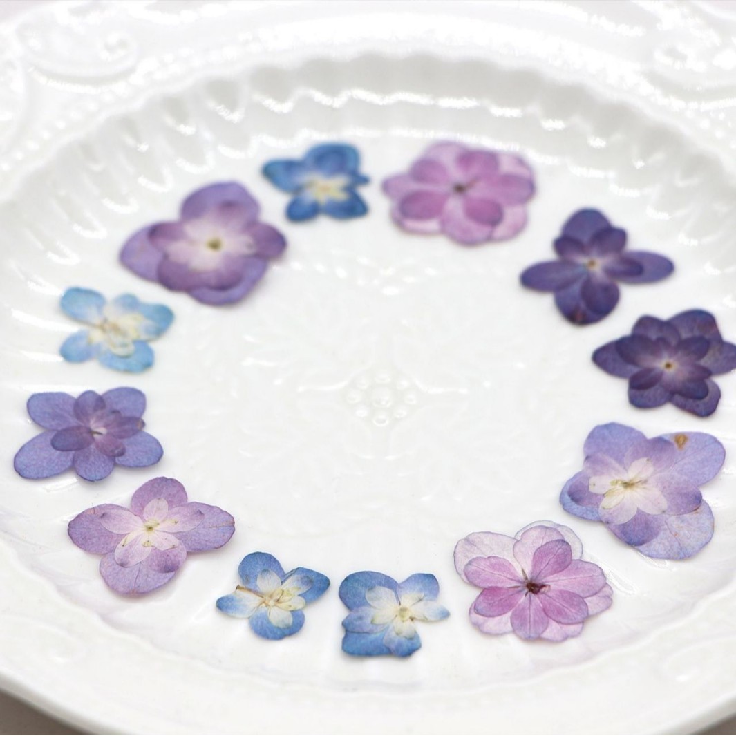 60Pcs Mini Double-Flowered Hyd – Dried Flower Bookmark Bewertung und Preis