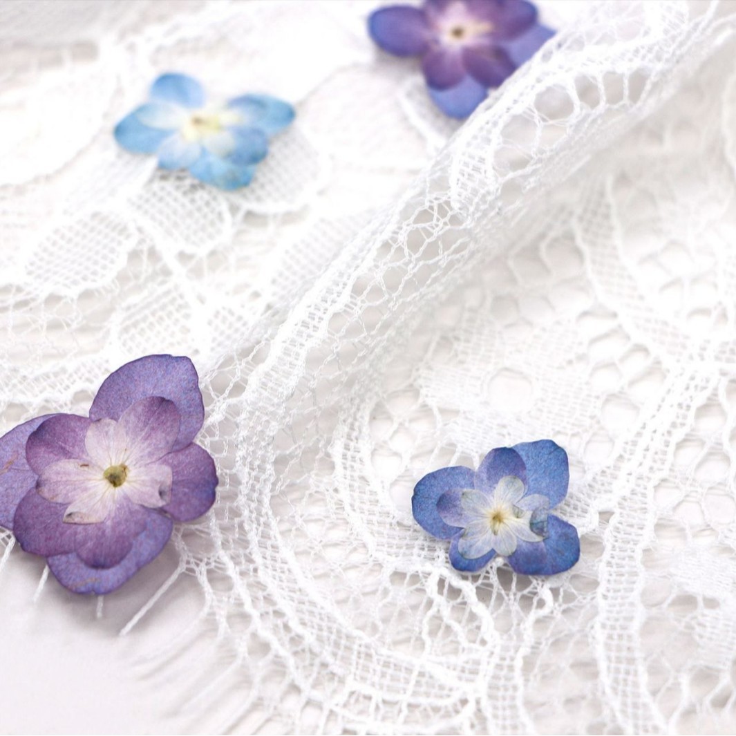 60Pcs Mini Double-Flowered Hyd – Dried Flower Bookmark Bewertung und Preis